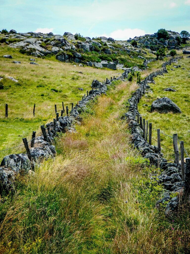 path, trail, aubrac, mountain path, hiking trail, path, trail, aubrac, aubrac, aubrac, aubrac, aubrac, mountain path, hiking trail