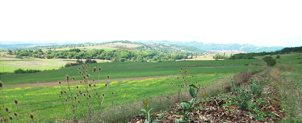 Réunion d'information sur les aides à la plantation